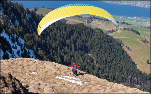 Swiss Alp's Glider
