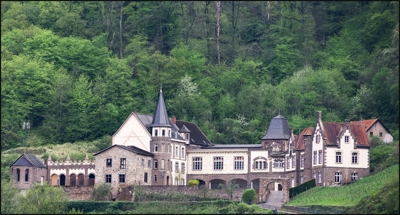 3295_Burg Brohleck.jpg