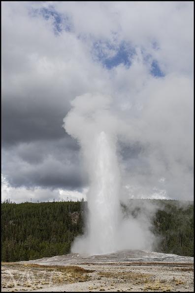 R6MH8543_Old Faithful.jpg