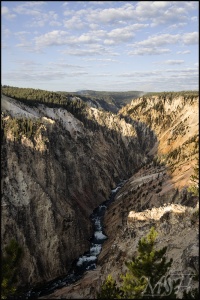 Canyon River Yellowstone