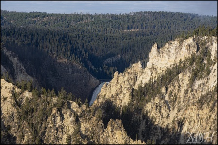 Canyon Falls Yellowstone