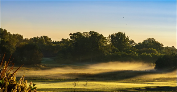 Fall Morning