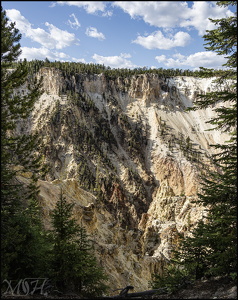 Grand Teton - Canyon through the Pines