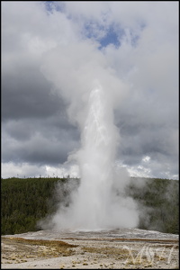 Old Faithful II