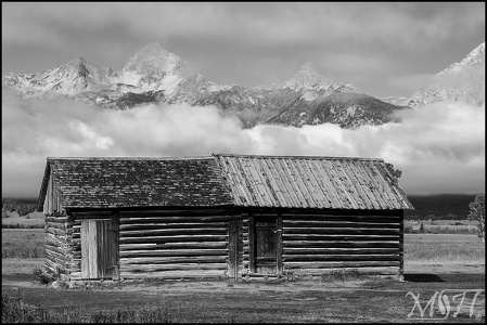 Morman settlement III