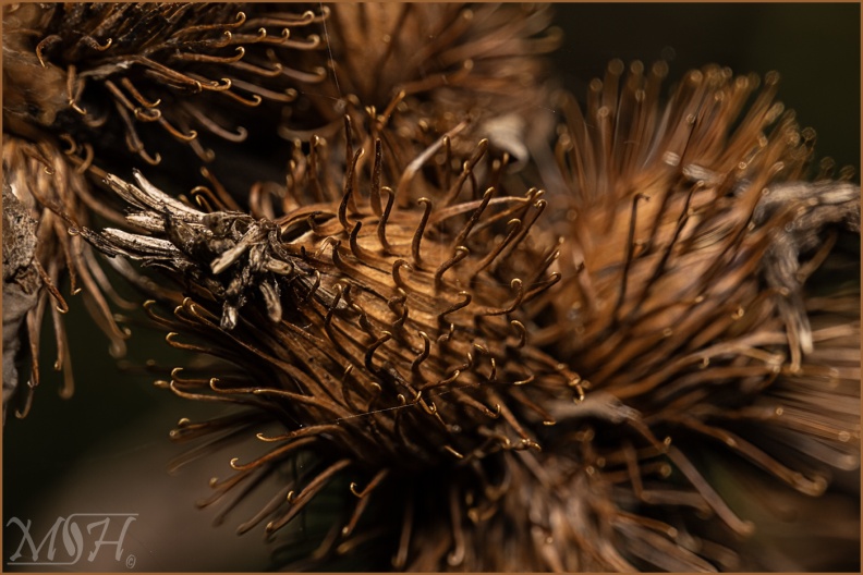 59855_Closing shop for the winter.jpg