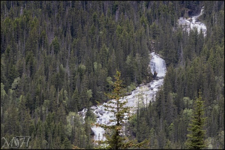 Mountain Stream