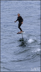 Hydroboard