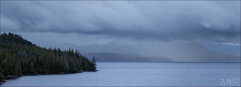 Stormy Skies