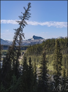 Valley with Snow Capped Mountains